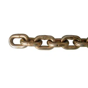 70 bekk flutningakeðja